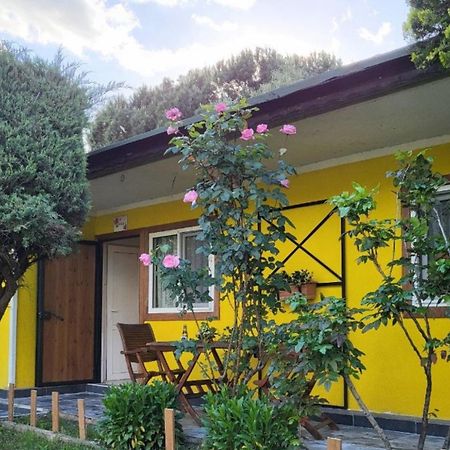 Cicek Evler Tatil Koeyue Hotel Armutlu Exterior photo